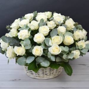 Корзина 35 крупных белых роз с зеленью R487